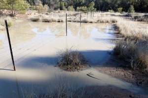 Pilliga water on ground